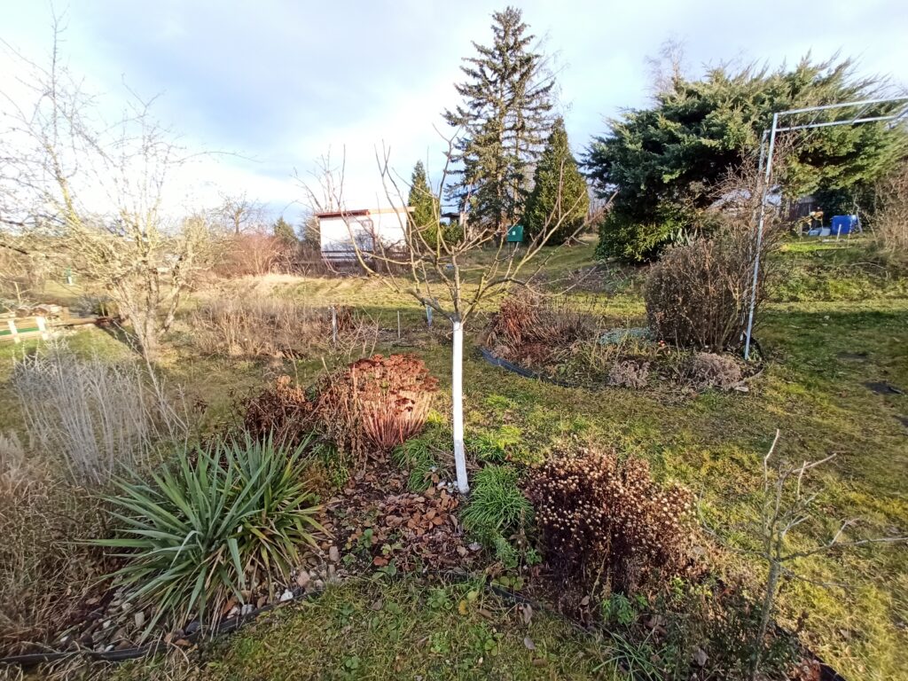 IMG_20250129_153456 IMG_20250129_153456