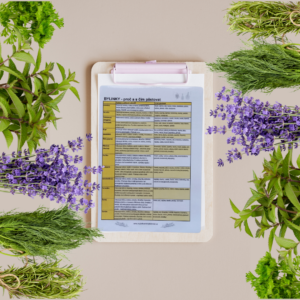 BYLINKY - proč a s čím pěstovat (tahák ke stažení)