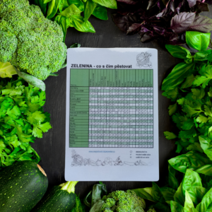 ZELENINA - co s čím pěstovat (tahák ke stažení)